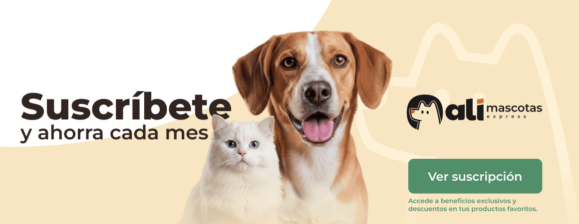 Suscríbete y ahorra 10% en todos tus pedidos